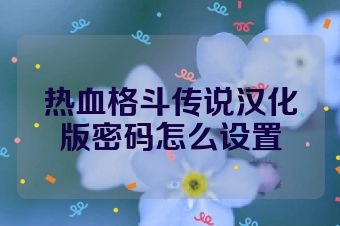 热血格斗传说汉化版密码怎么设置