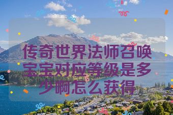 传奇世界法师召唤宝宝对应等级是多少啊怎么获得