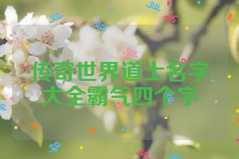 传奇世界道士名字大全霸气四个字