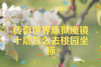 传奇世界炼狱魔镜十层怎么去桃园坐标