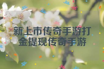 新上市传奇手游打金提现传奇手游