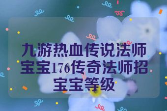 九游热血传说法师宝宝176传奇法师招宝宝等级