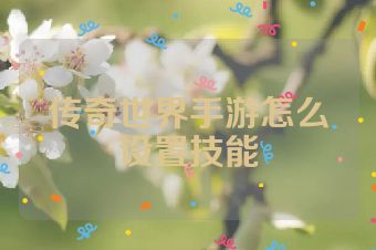 传奇世界手游怎么设置技能