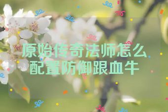原始传奇法师怎么配置防御跟血牛