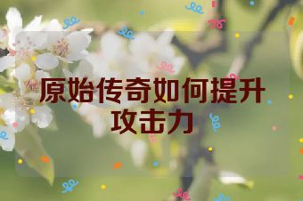 原始传奇如何提升攻击力