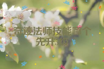 奇迹法师技能哪个先升5级