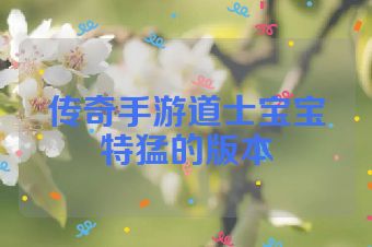 传奇手游道士宝宝特猛的版本