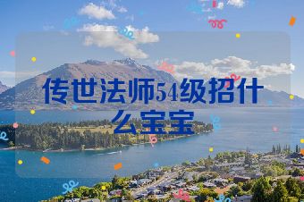 传世法师54级招什么宝宝