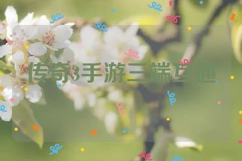传奇3手游三端互通
