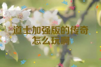 道士加强版的传奇怎么玩啊