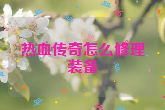 热血传奇怎么修理装备