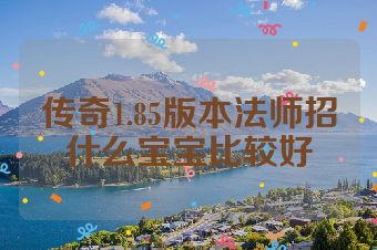 传奇1.85版本法师招什么宝宝比较好