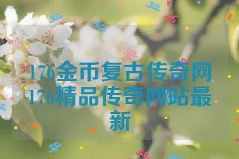176金币复古传奇网176精品传奇网站最新