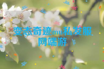 变态奇迹mu私发服网端游