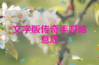 文字版传奇手游啥意思