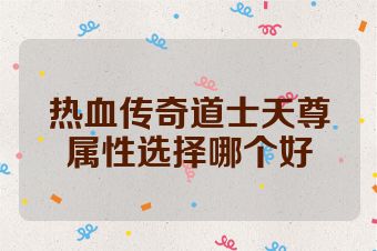 热血传奇道士天尊属性选择哪个好