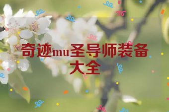奇迹mu圣导师装备大全