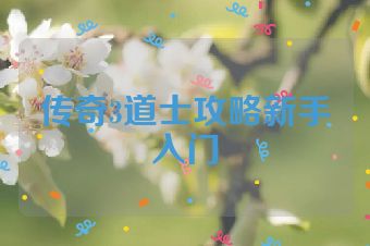 传奇3道士攻略新手入门