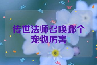 传世法师召唤哪个宠物厉害