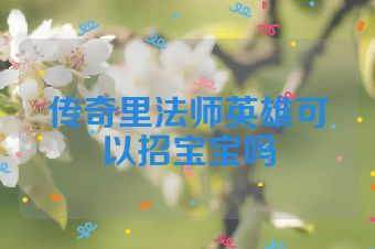 传奇里法师英雄可以招宝宝吗