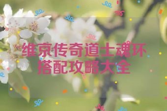 维京传奇道士魂环搭配攻略大全