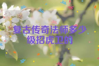 复古传奇法师多少级招虎卫的
