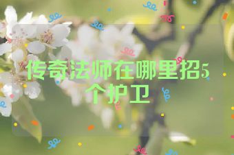 传奇法师在哪里招5个护卫