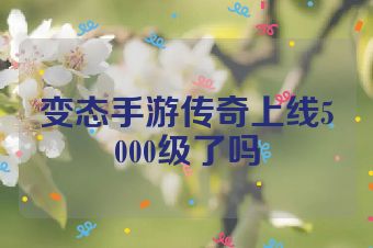 变态手游传奇上线5000级了吗