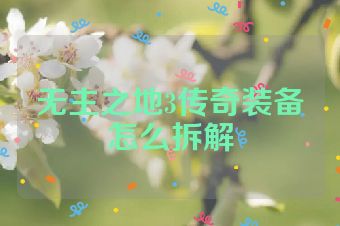 无主之地3传奇装备怎么拆解