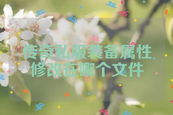传奇私服装备属性修改在哪个文件