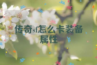 传奇sf怎么卡装备属性
