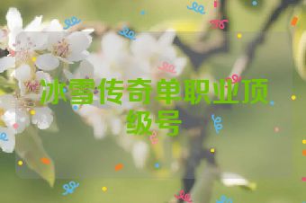 冰雪传奇单职业顶级号
