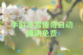 手游冰雪传奇自动辅助免费