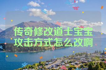 传奇修改道士宝宝攻击方式怎么改啊