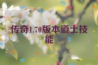 传奇1.70版本道士技能