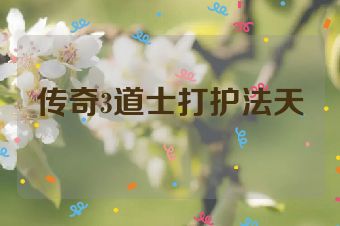传奇3道士打护法天