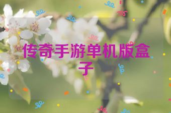 传奇手游单机版盒子