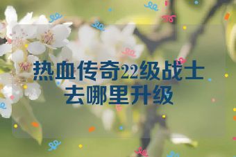 热血传奇22级战士去哪里升级