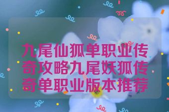 九尾仙狐单职业传奇攻略九尾妖狐传奇单职业版本推荐