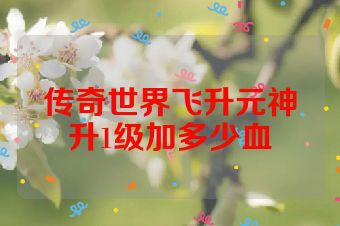 传奇世界飞升元神升1级加多少血