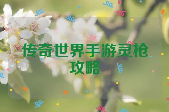 传奇世界手游灵枪攻略