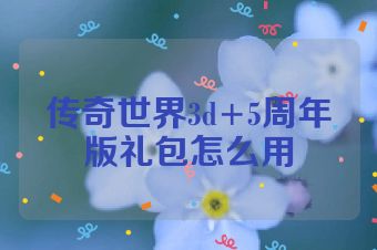 传奇世界3d+5周年版礼包怎么用