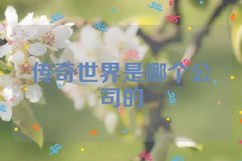 传奇世界是哪个公司的