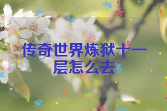 传奇世界炼狱十一层怎么去