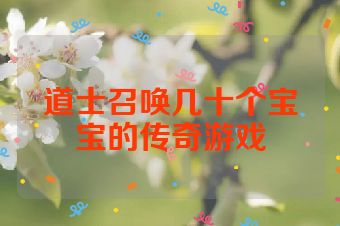 道士召唤几十个宝宝的传奇游戏