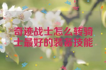 奇迹战士怎么转骑士最好的装备技能
