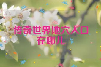 传奇世界地穴入口在哪儿