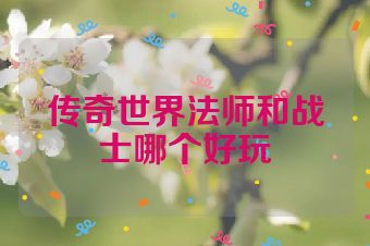 传奇世界法师和战士哪个好玩