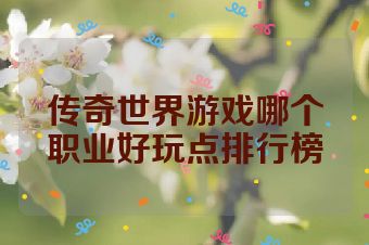 传奇世界游戏哪个职业好玩点排行榜