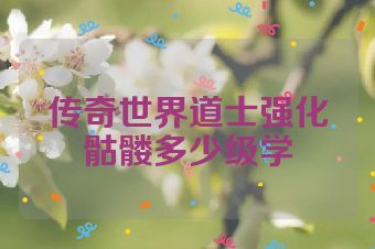 传奇世界道士强化骷髅多少级学